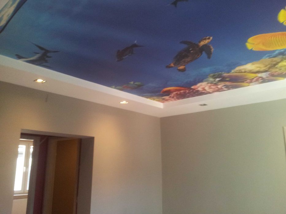 Wodzisław Śląski, ciche mieszkanie z ogrodem w pobliżu rynku