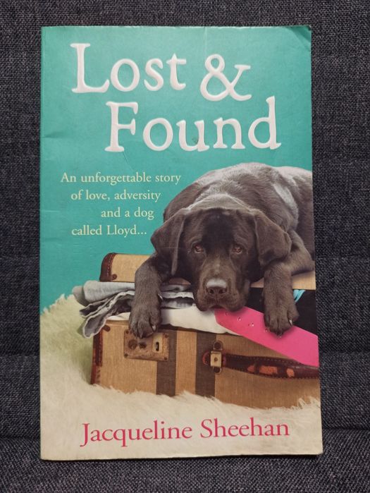 Sprzedam książkę w języku angielskim Lost&Found