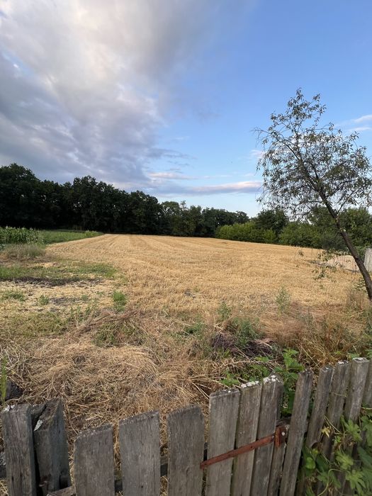 Будинок з великим подвірʼям та городом с. Ольшаниця