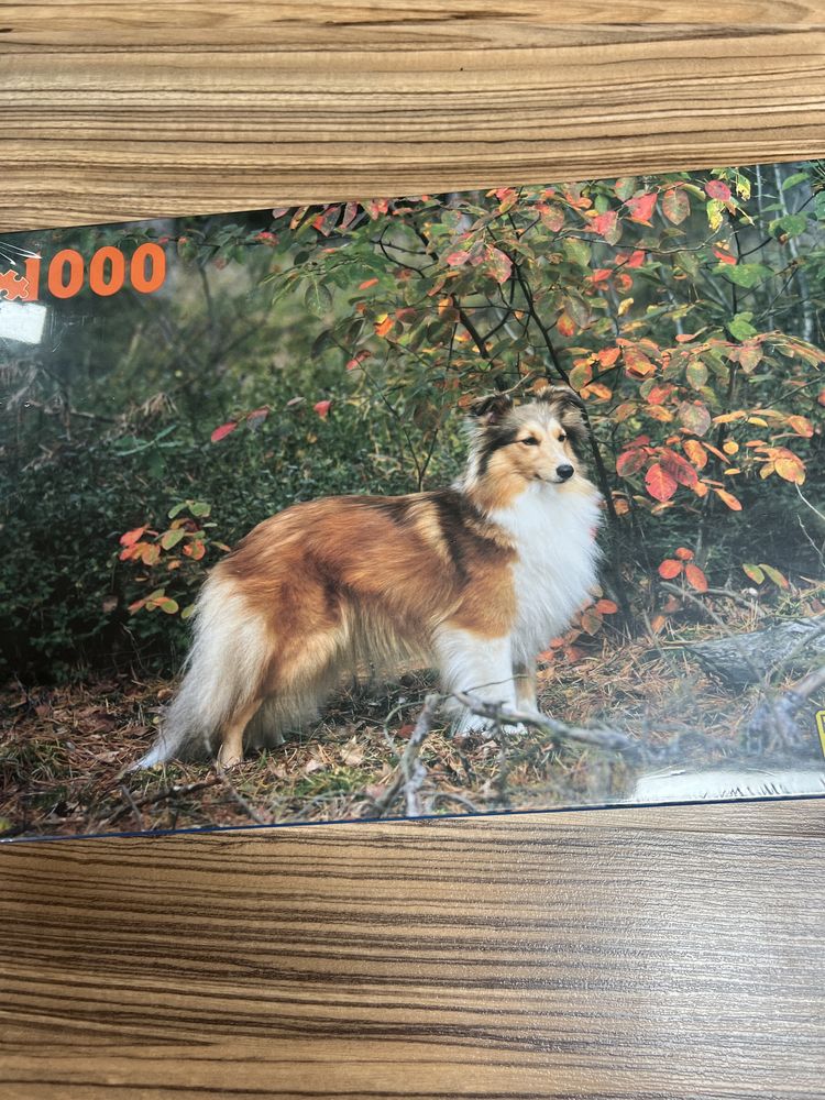 Puzzle pies typu Lassie i kot nie chinskie 2 op po 1000 sztuk