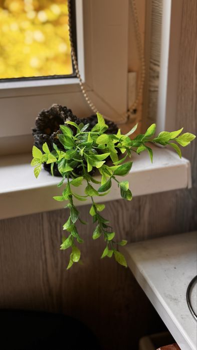 Продам аквариум на 10 л