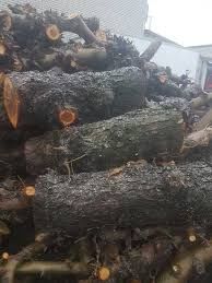 Drewno owocowe ,wędzenie ,kominek itp