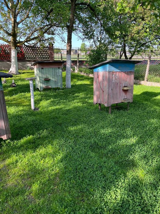 Вулики для пасіки