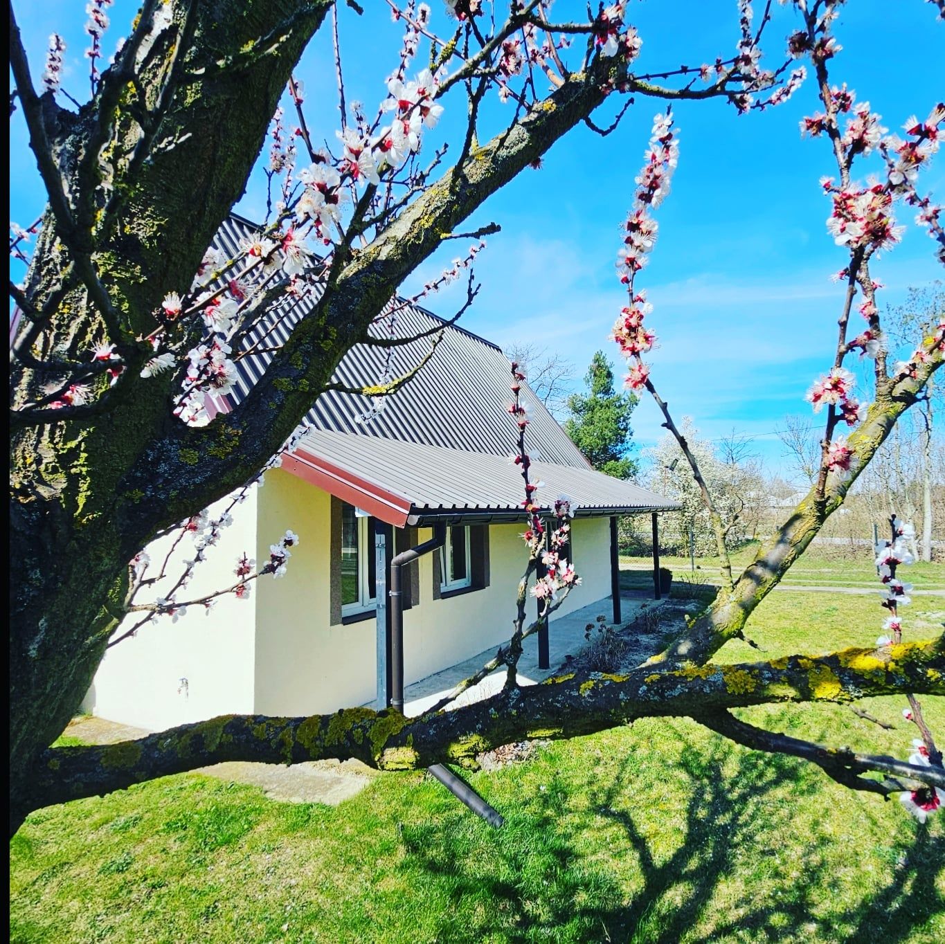 Domek nad stawem, Sochaczew - Mazowieckie nocleg, dom, agroturystyka
