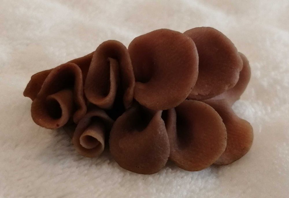 Przypinka, broszka, kwiat, liście, 4cm (Biżuteria)