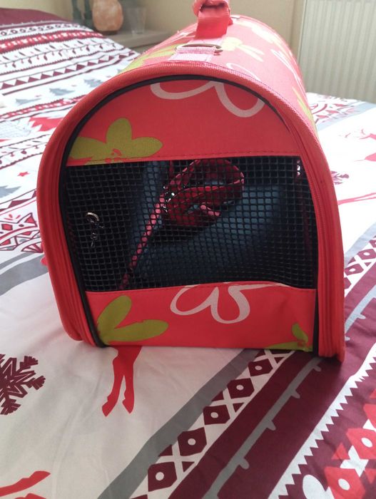 Nosidełko dla psa lub kota