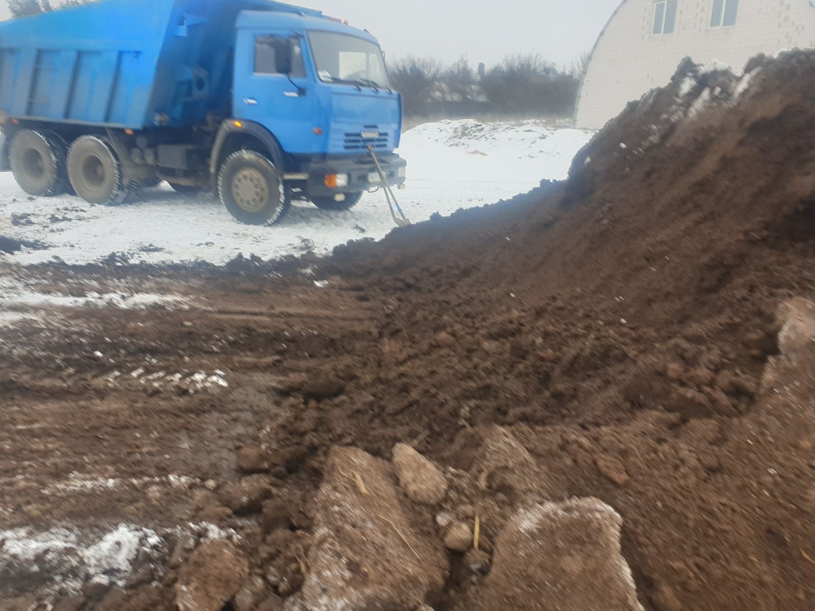 Перегній коров'ячий