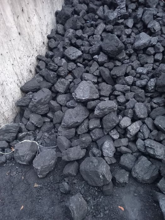 Wegiel orzech kostka