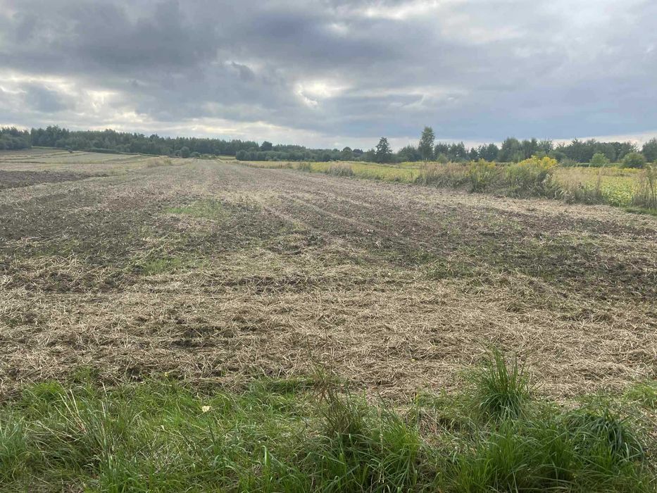 Działka rolno budowlana