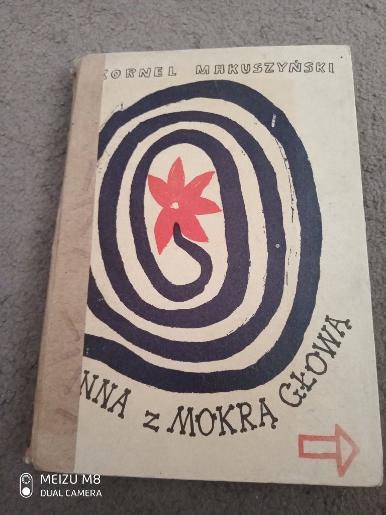 Panna z mokrą głową - Kornel Makuszyński 1963