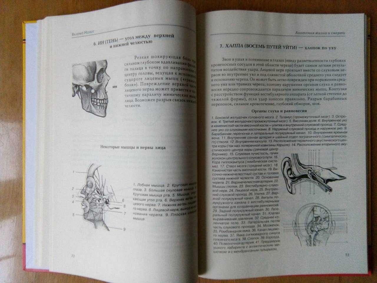 Момот В. Анатомия жизни и смерти жизненноважные точки на теле человека