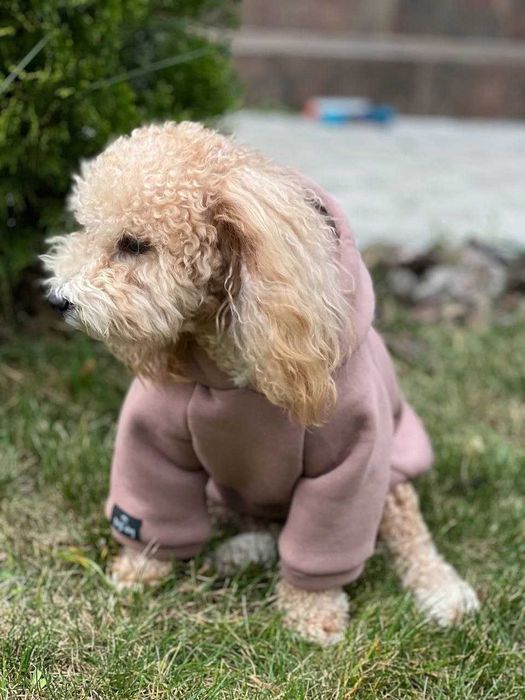 Одяг для собак різні розміри Худі одежда для собачек