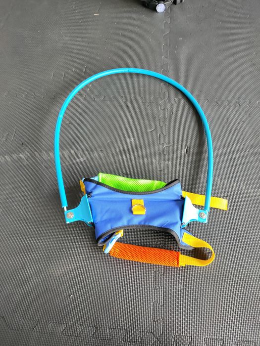 Obroża ochrona niewidomy niewidomego psa