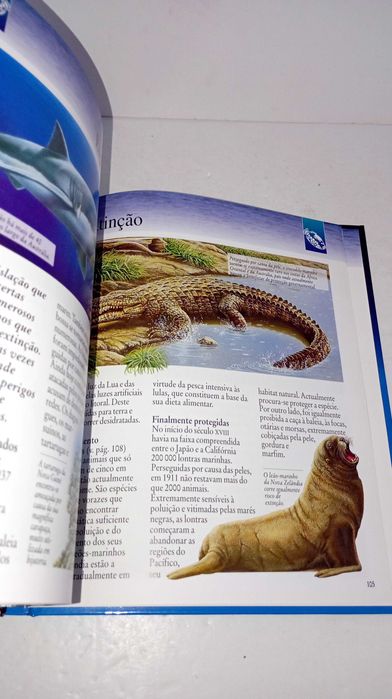 O Mar - Descoberta do Mundo - Imagem