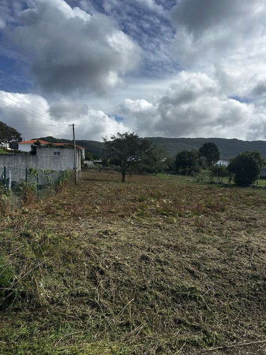 Serviços de jardinagem e limpeza de espaços verdes