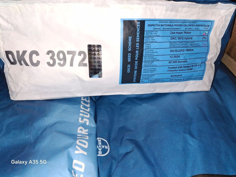 Кукуруза дкс 3972