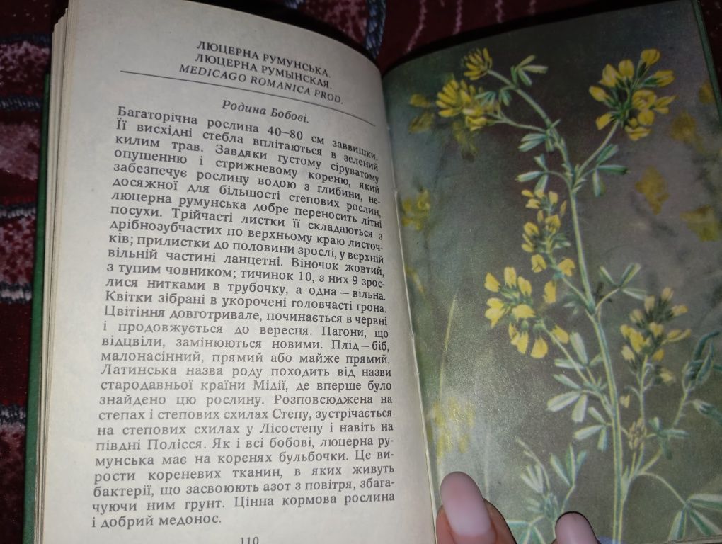 Панова, Протопопова - Степові рослини