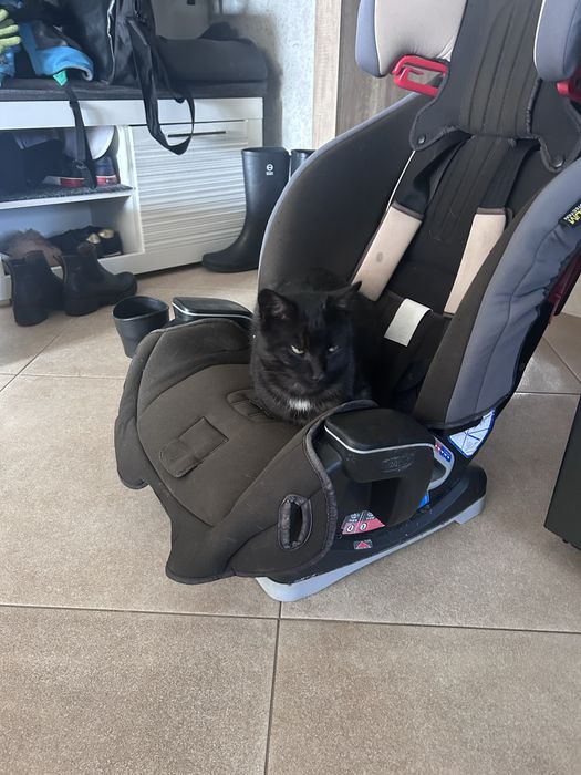 Siedzonko w bardzo dobrym stanie polecam bardzo ……………………………….