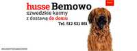 Husse Bemowo - Szwedzkie karmy z dostawą do domu