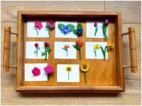 Jogo Educativo - Flores Montessori