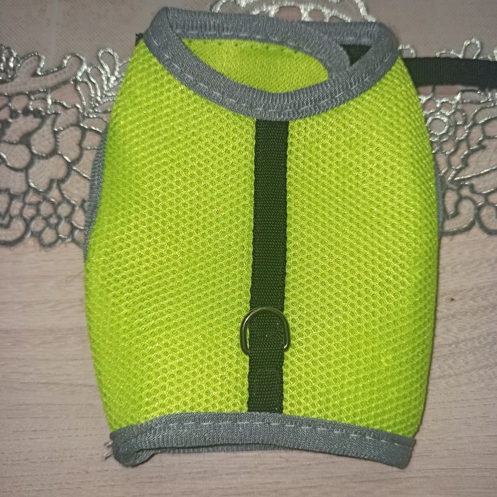 Szelki dla małego psa lub kota