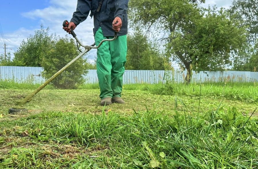 Serviço de jardinagem e limpeza de terrenos