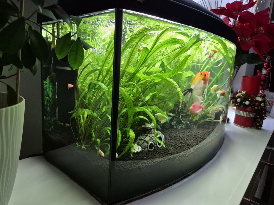 Akwarium z profilem (półokrągle) 60l