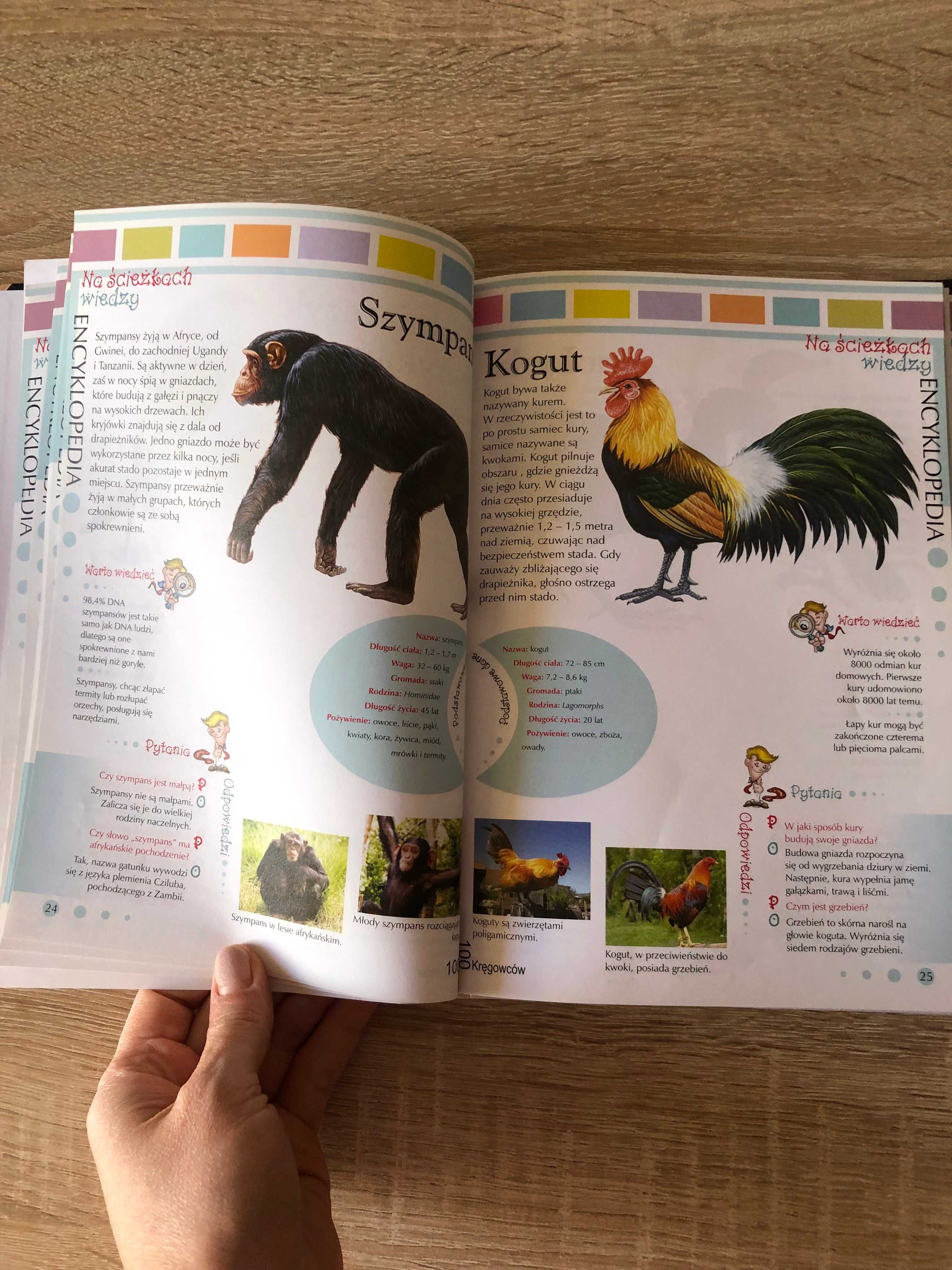 Książka / Encyklopedia o zwierzętach, ptakach itp.