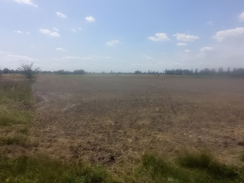 Продам участок под строительство с. Сеньковка