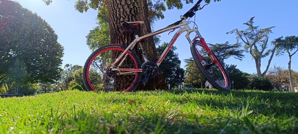 Especialized mountain bike