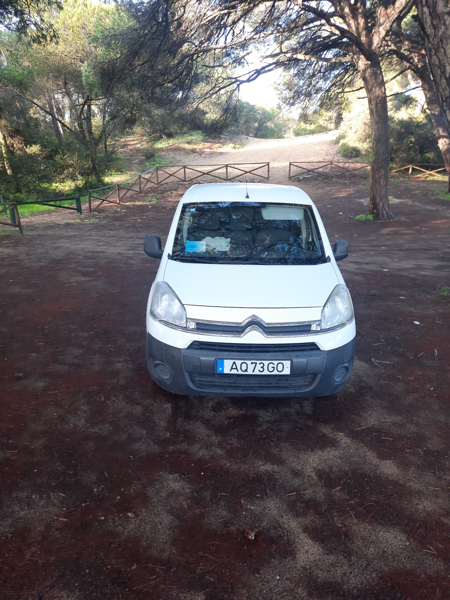 Citroen berlingo 1.6hdi