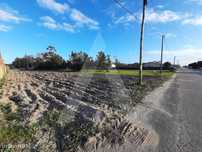Terreno situado a 3 minutos da Praia da Vagueira, em Vagos