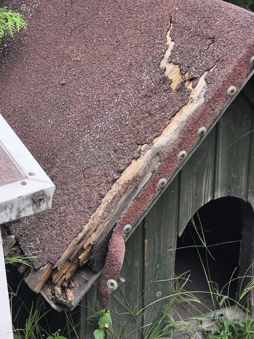 Buda dla dużego psa.