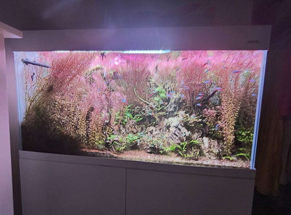 Akwarium cały zestaw 200l optiwhite