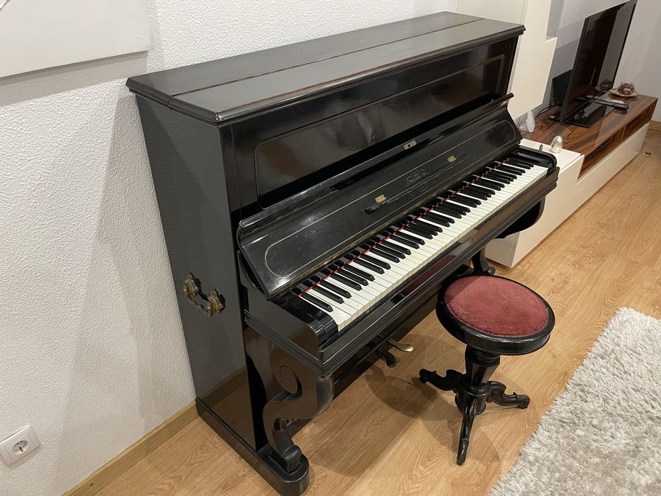Piano Acustico Gaveau