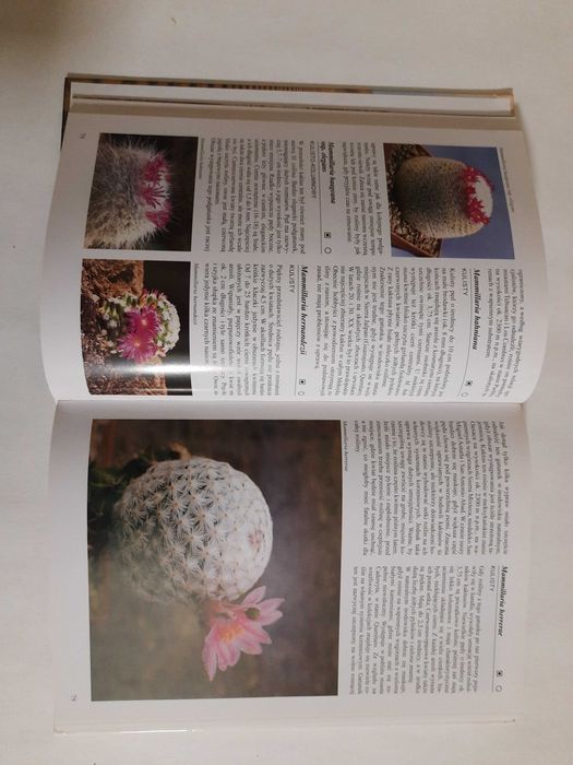 Encyklopedia kaktusów Rudolf Subik, Libor Kunte