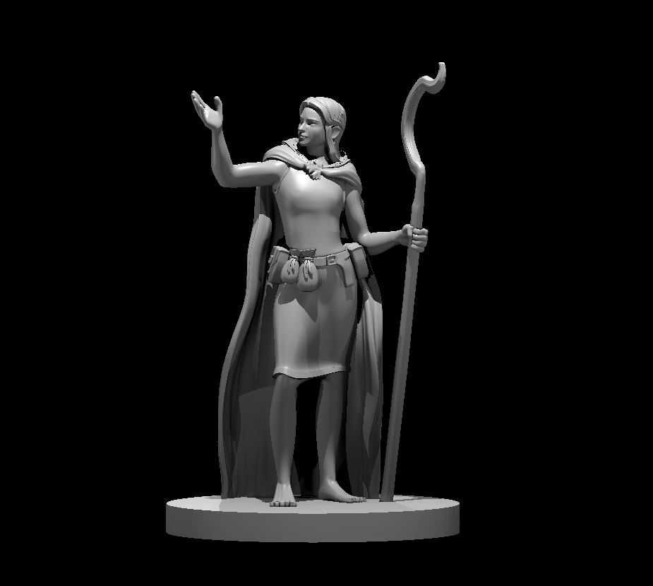 Miniaturas Aventureiros RPG Impressos em 3D - Classe: Druid/Druida