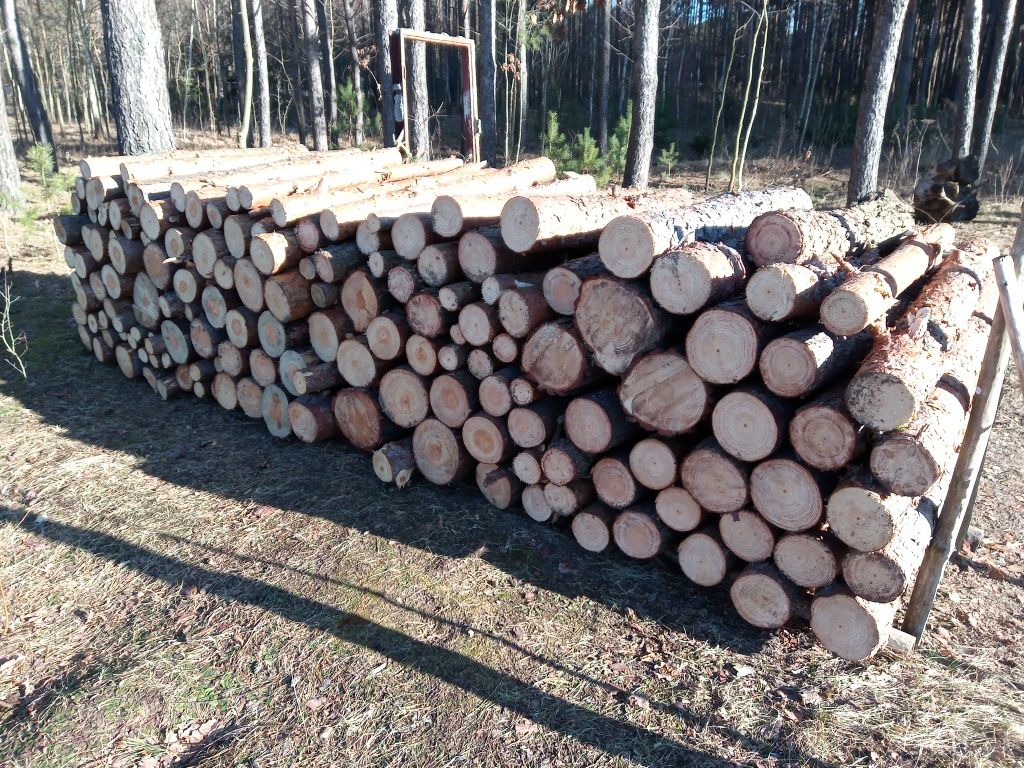 Drewno opałowe, kominkowe, sosna, opał, papierówka - 120 zł/mp