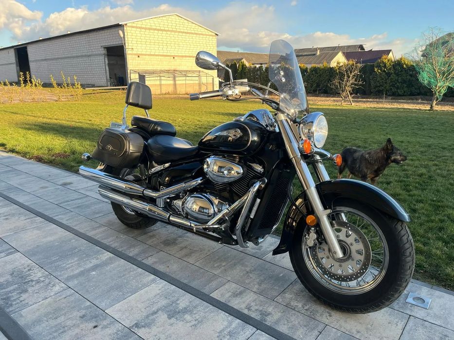 Suzuki VL 800 Volusia Suzuki VL800 volusia boulevard intruder vulcan vtx virago