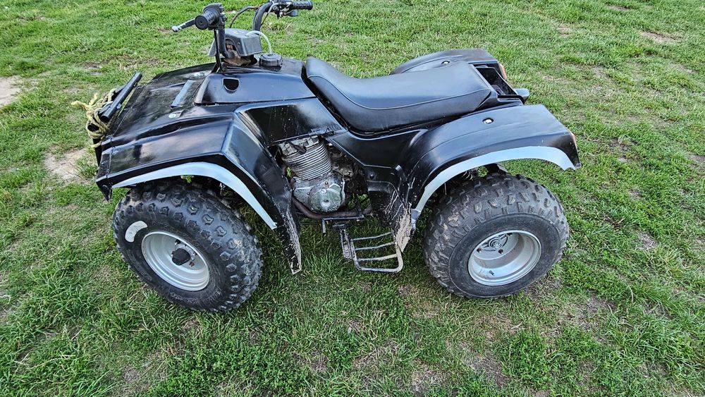 quad kingway traper 250