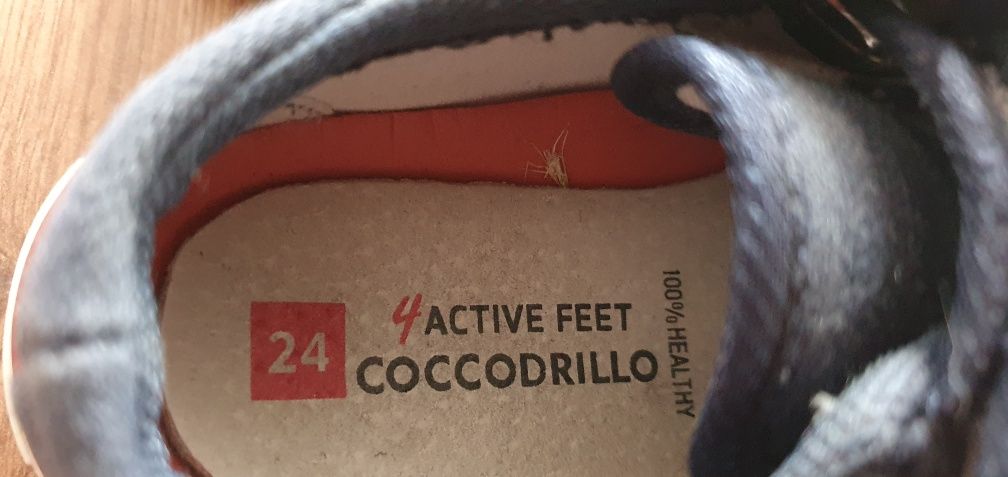 Buty roz 24 coccodrillo