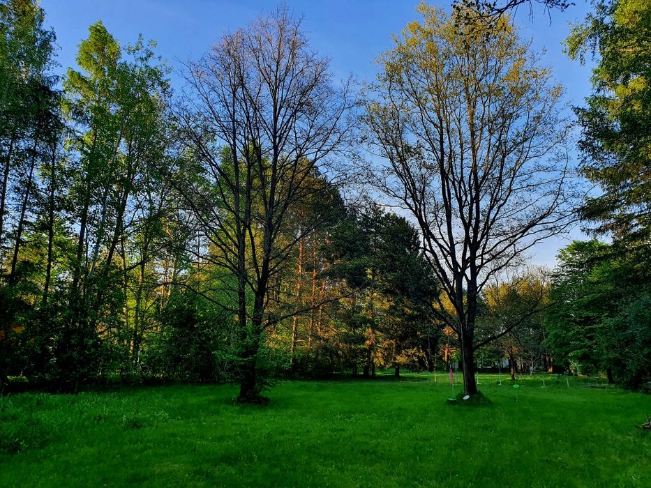 Działka Rydzynki Tuszyn obok Zofiówka 1500 metrów NOWA 1