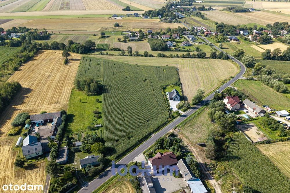 Duże działki z WZ – Małczew, gmina Brzeziny