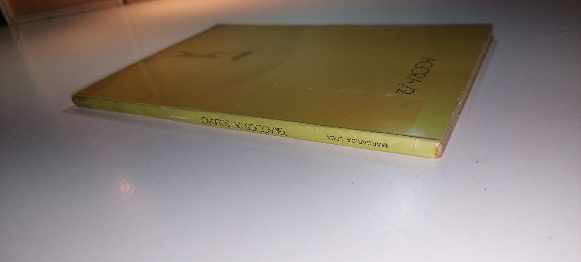 Gracejos à Solidão - Margarida Losa