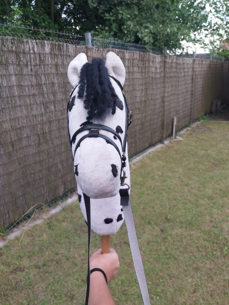 Hobby horse z ogłowiem tarantowaty