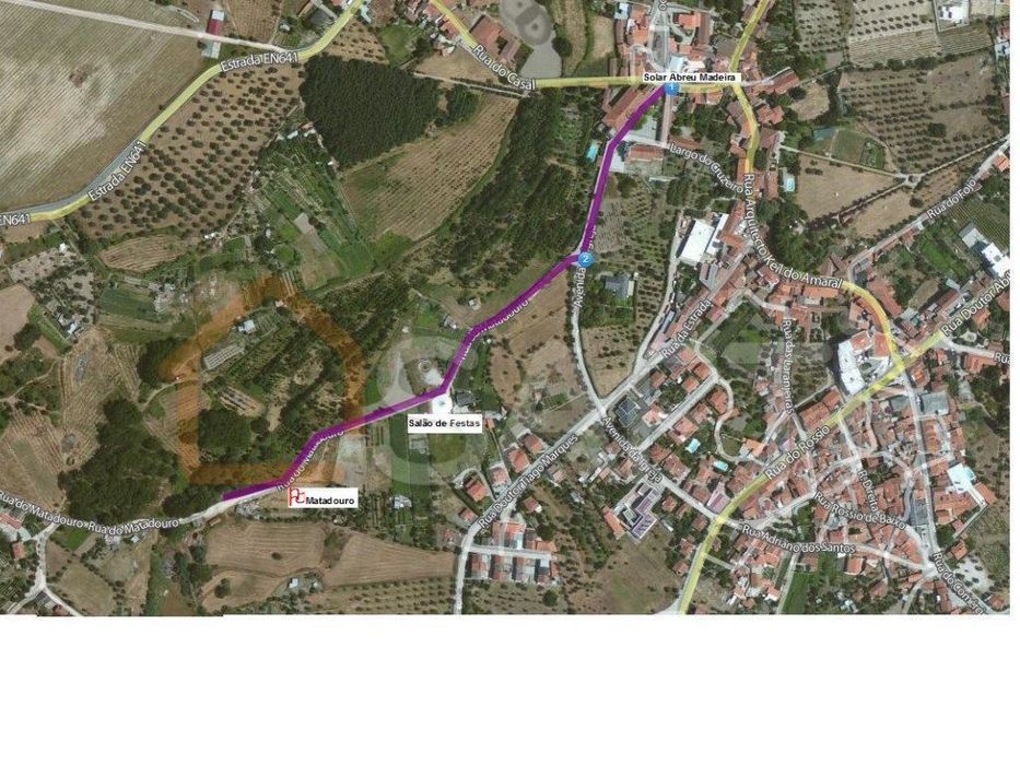 Viseu-Nelas - Terreno Misto 7920M2 - Oportunidade Única Em Canas De...