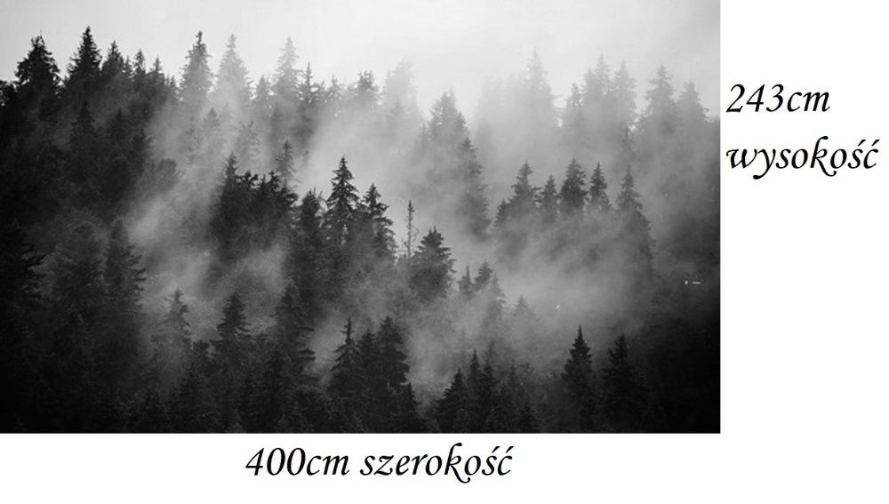 Fototapeta mglisty las biało-czarna 400 x 243