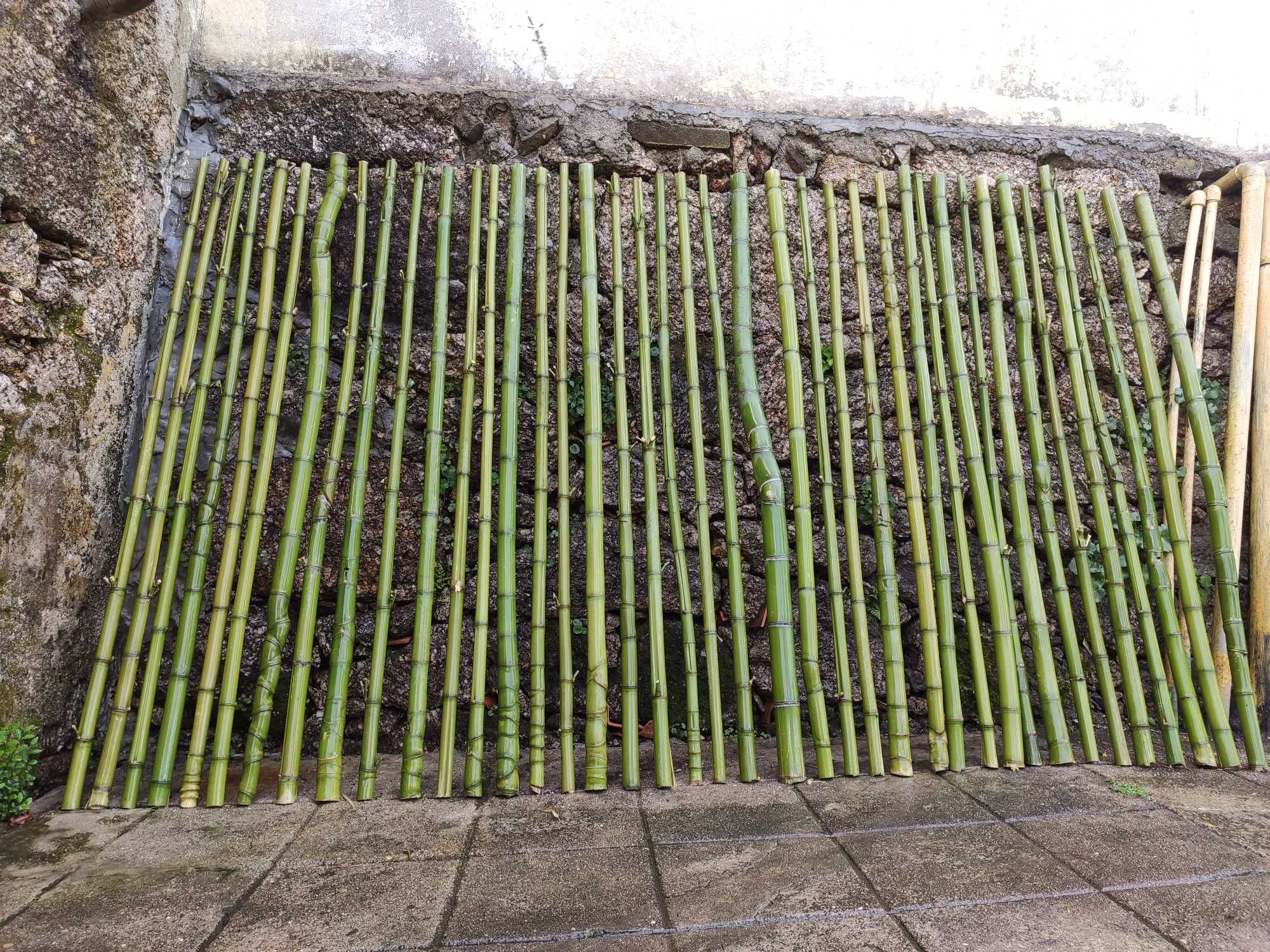 Canas de Bambu Natural