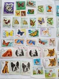 Znaczki pocztowe zwierzęta z całego świata