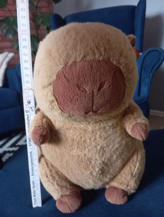 Sprzedam pluszak Kapibara